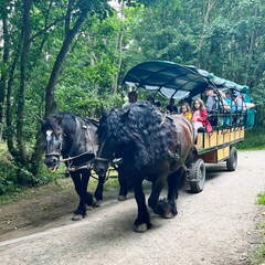 24-07-01 14-03-14 0074